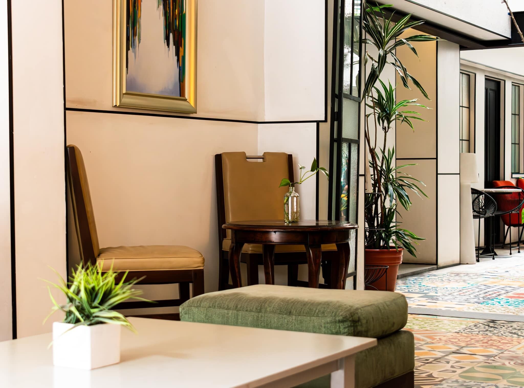Un interior moderno con un sofá, una mesita, una silla y una planta en maceta.