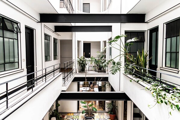 Interior - Excelente suite en la condesa (Ciudad de México)