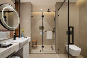Shower, hydromassage showerhead, designer toiletries, hair dryer