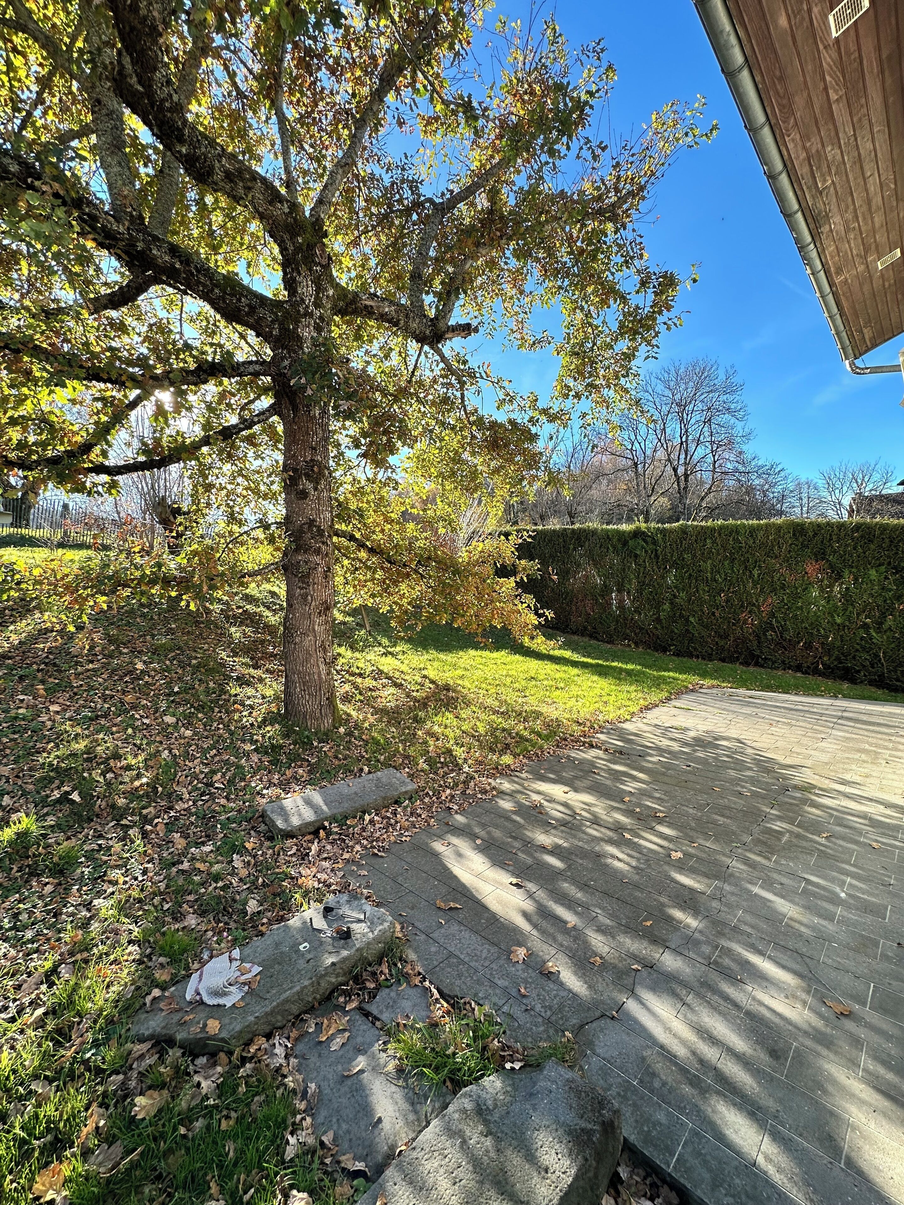 A paved pathway leading to a building with a wooden exterior.