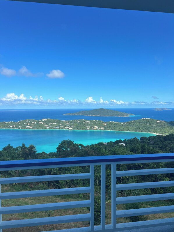 Property grounds - Adorable Efficiency Apt. with AC in beautiful St Thomas with spectacular views. (St Thomas)