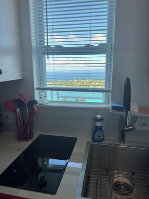 Private kitchen - Adorable Efficiency Apt. with AC in beautiful St Thomas with spectacular views. (St Thomas)