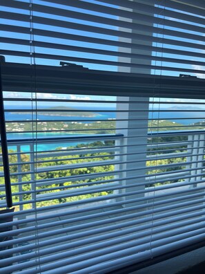 Interior - Adorable Efficiency Apt. with AC in beautiful St Thomas with spectacular views. (St Thomas)