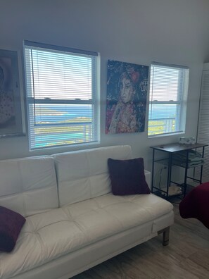 Living area - Adorable Efficiency Apt. with AC in beautiful St Thomas with spectacular views. (St Thomas)