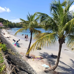 Una spiaggia con palme, una riva sabbiosa e persone in acqua.