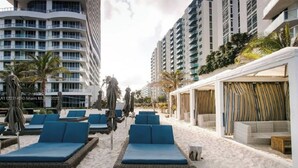 A beachside lounge area with blue lounge chairs and sun umbrellas, surrounded by tall buildings and palm trees. - Oceanview Penthouse Pool Beach Access (Hollywood)