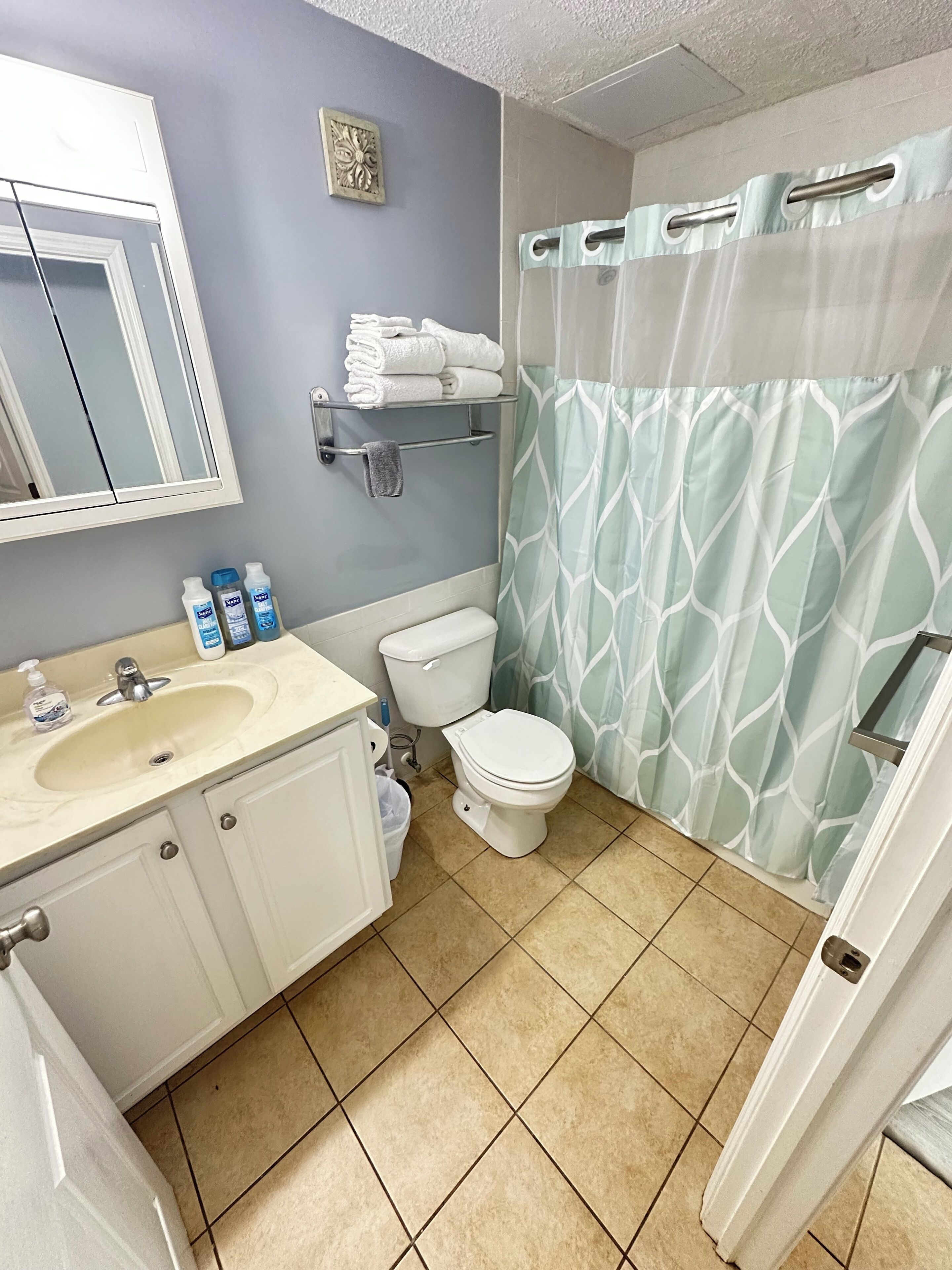 Een haardroger, handdoeken, zeep, toiletpapier