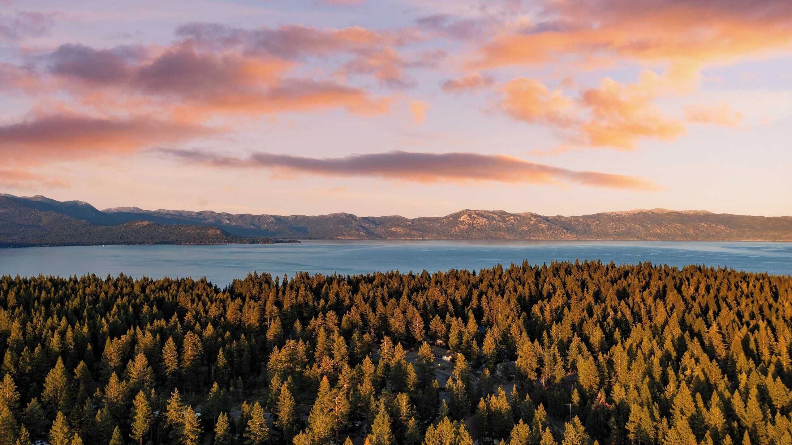 A forested area with a lake and mountains in the background.