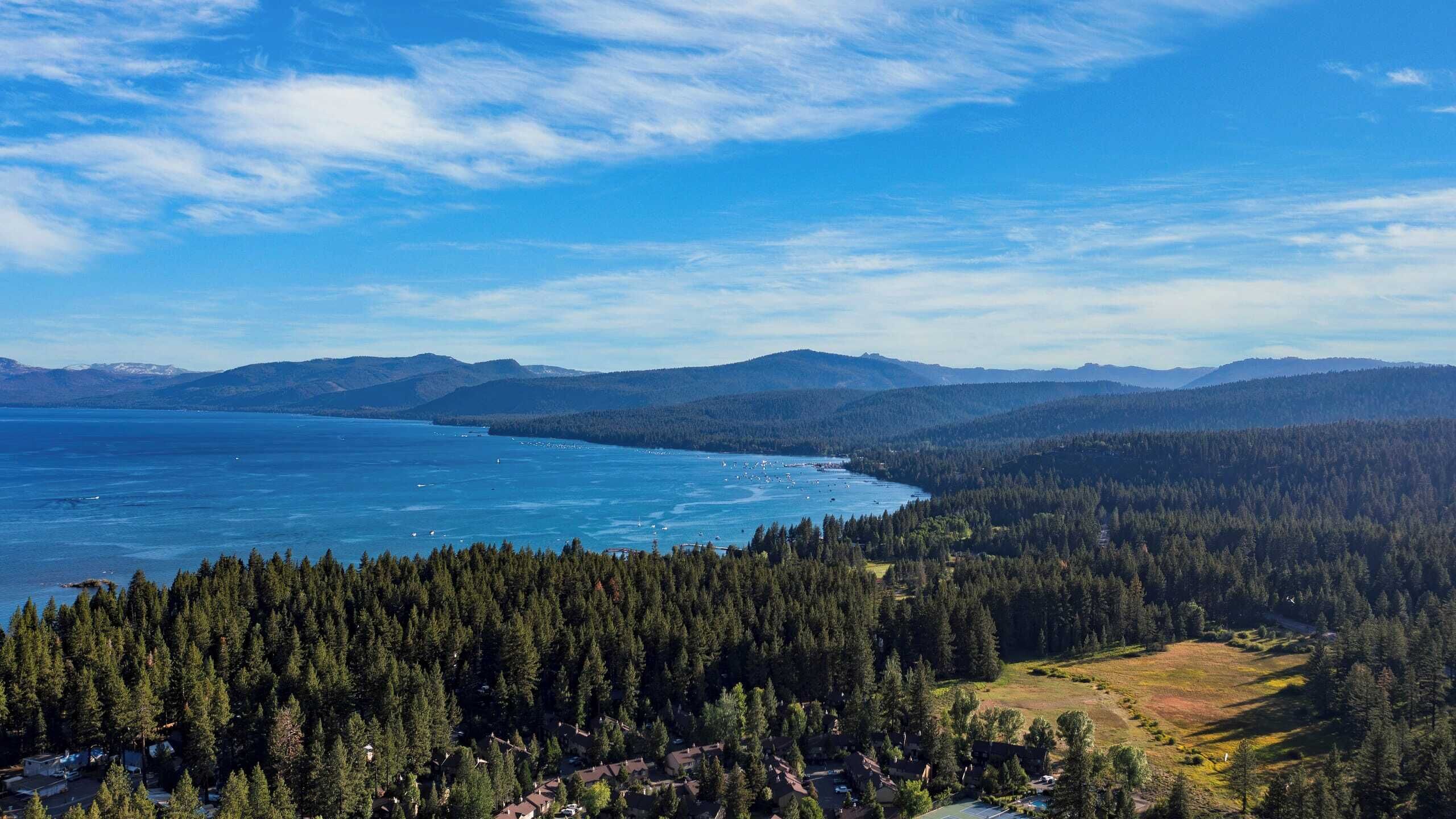 A coastal landscape with dense forests, a clear blue sky, and a view of the sea.
