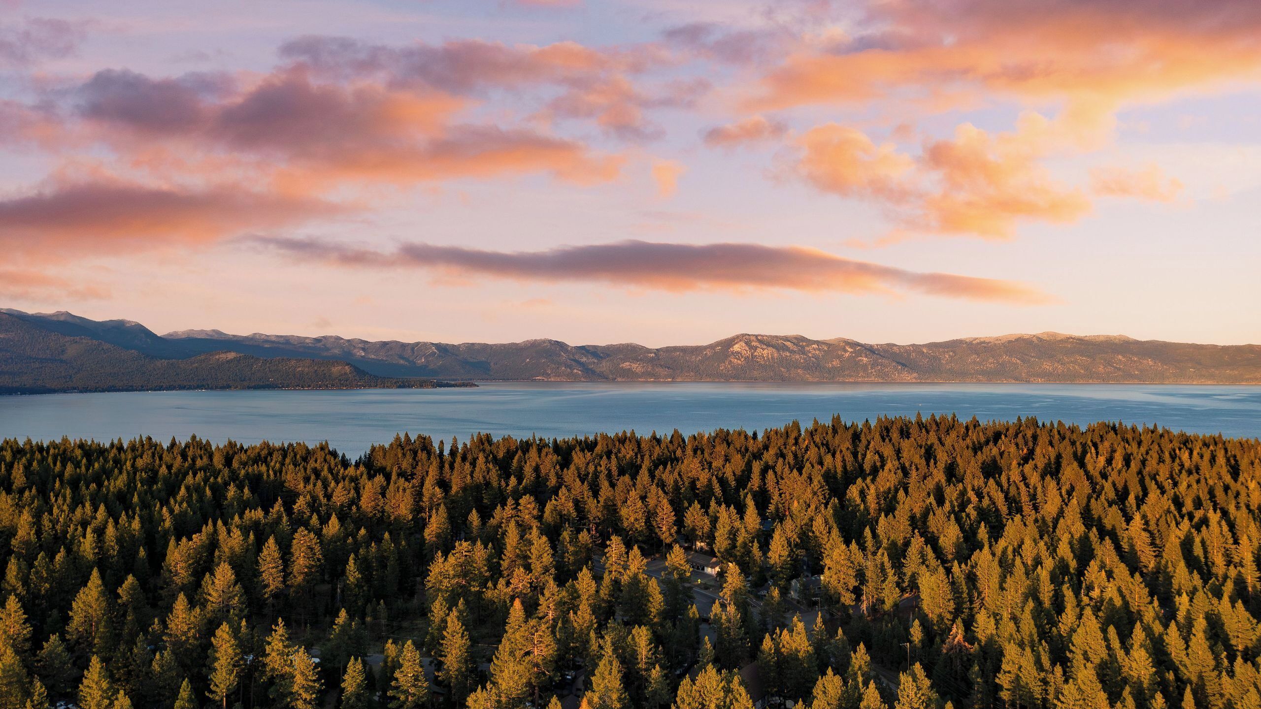 A forested landscape with a lake and mountains in the background.