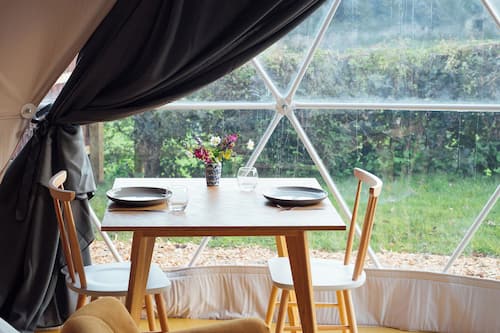 Estudio de lujo, se aceptan mascotas, vista al jardín | Vista al jardín