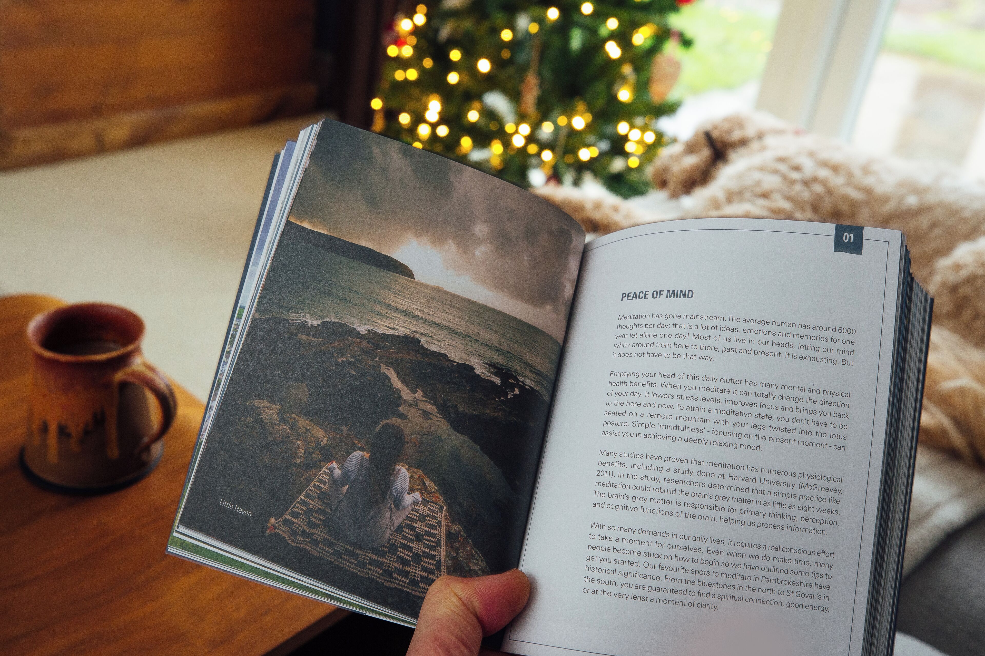 A book open to a page with a photograph of a person meditating by a beach and text about meditation benefits.