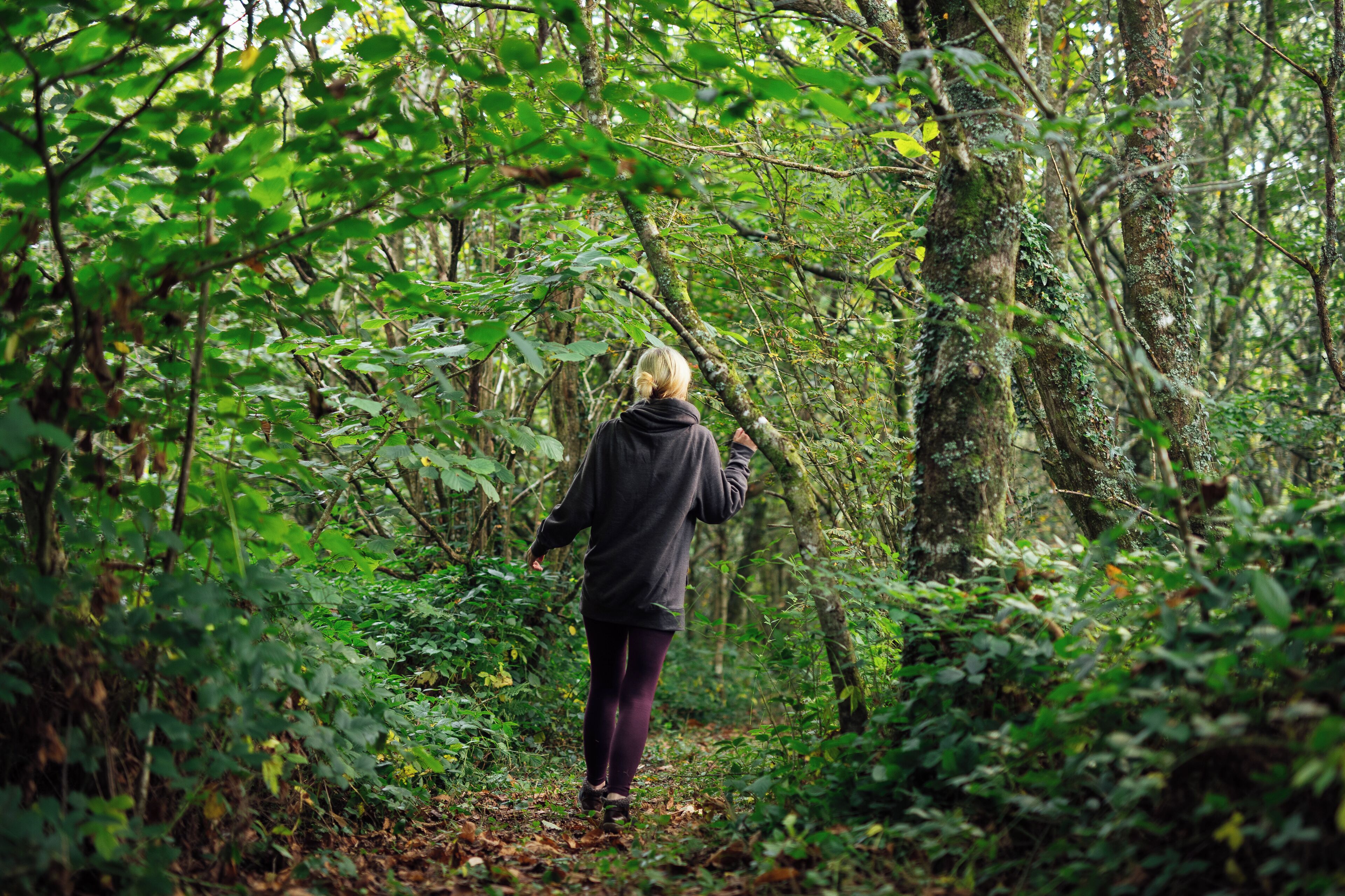 Una persona caminando por un área boscosa.