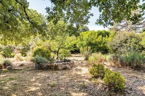 Property grounds - Studio flat with conservatory and garden (Saint-Martin-de-Londres)