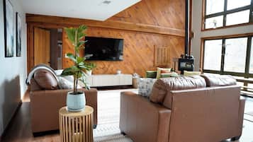 TV connectée, cheminée, livres