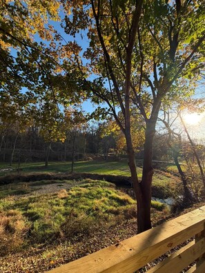Property grounds - The Firefly Retreat in Lancaster county (Manheim)