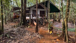 A rustic cabin in a forest with a dirt path leading to it. - Sabalo lodge (Sierpe)