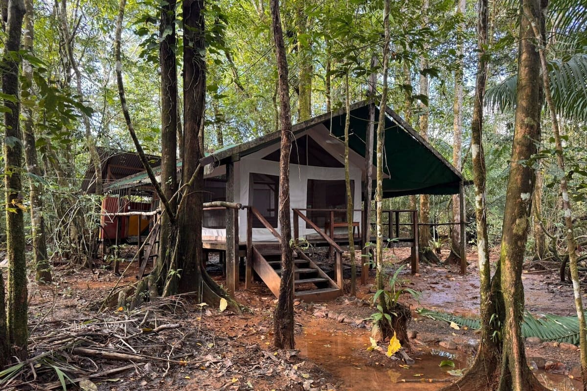 Una cabaña rústica en un bosque, con un camino de tierra que lleva a ella.