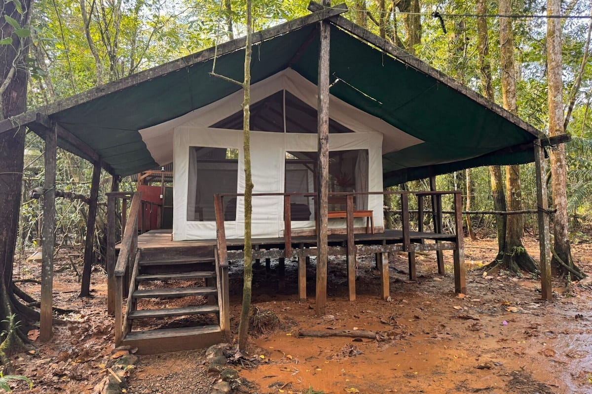 Una estructura de madera con techo verde, rodeada de árboles y suelo embarrado.
