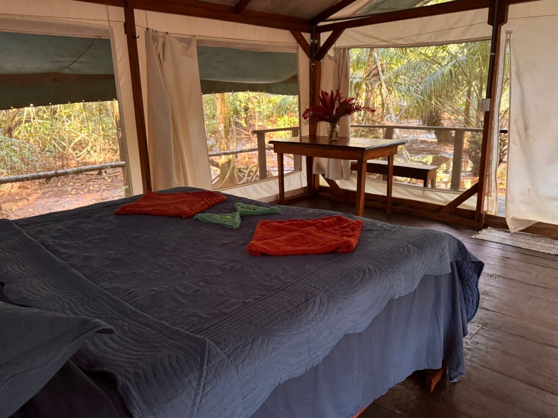 Tienda de campaña Confort, vista al parque | Escritorio y wifi gratis 