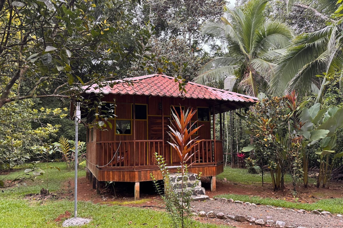 Una cabaña de madera con techo rojo, rodeada de abundante vegetación y un camino de piedra.