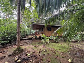 Comfort Cabin, Multiple Beds, Park View | Desk, free cribs/infant beds, free WiFi, bed sheets - Sabalo lodge (Sierpe)