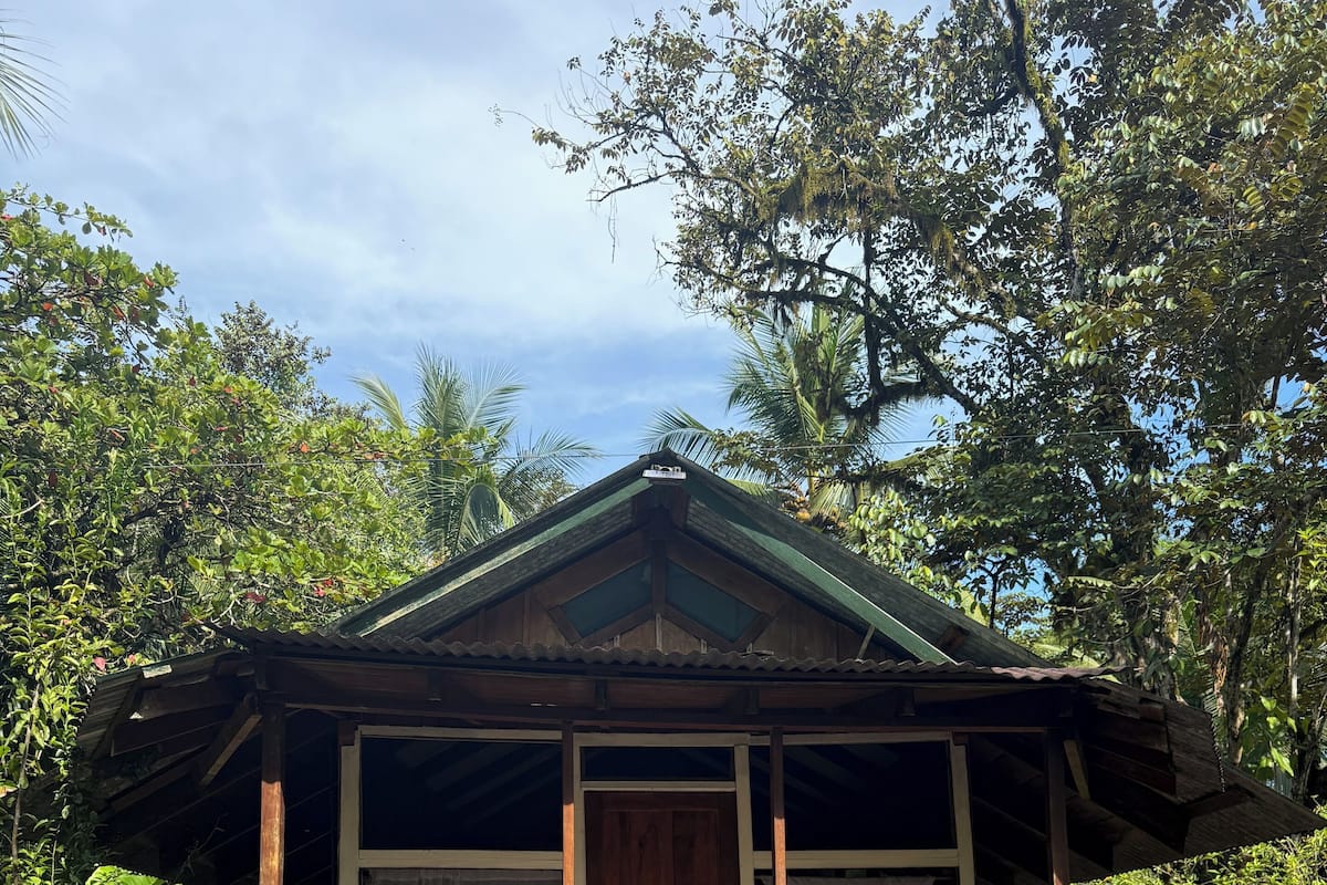 Comfort Cabin, Garden View | Desk, free WiFi