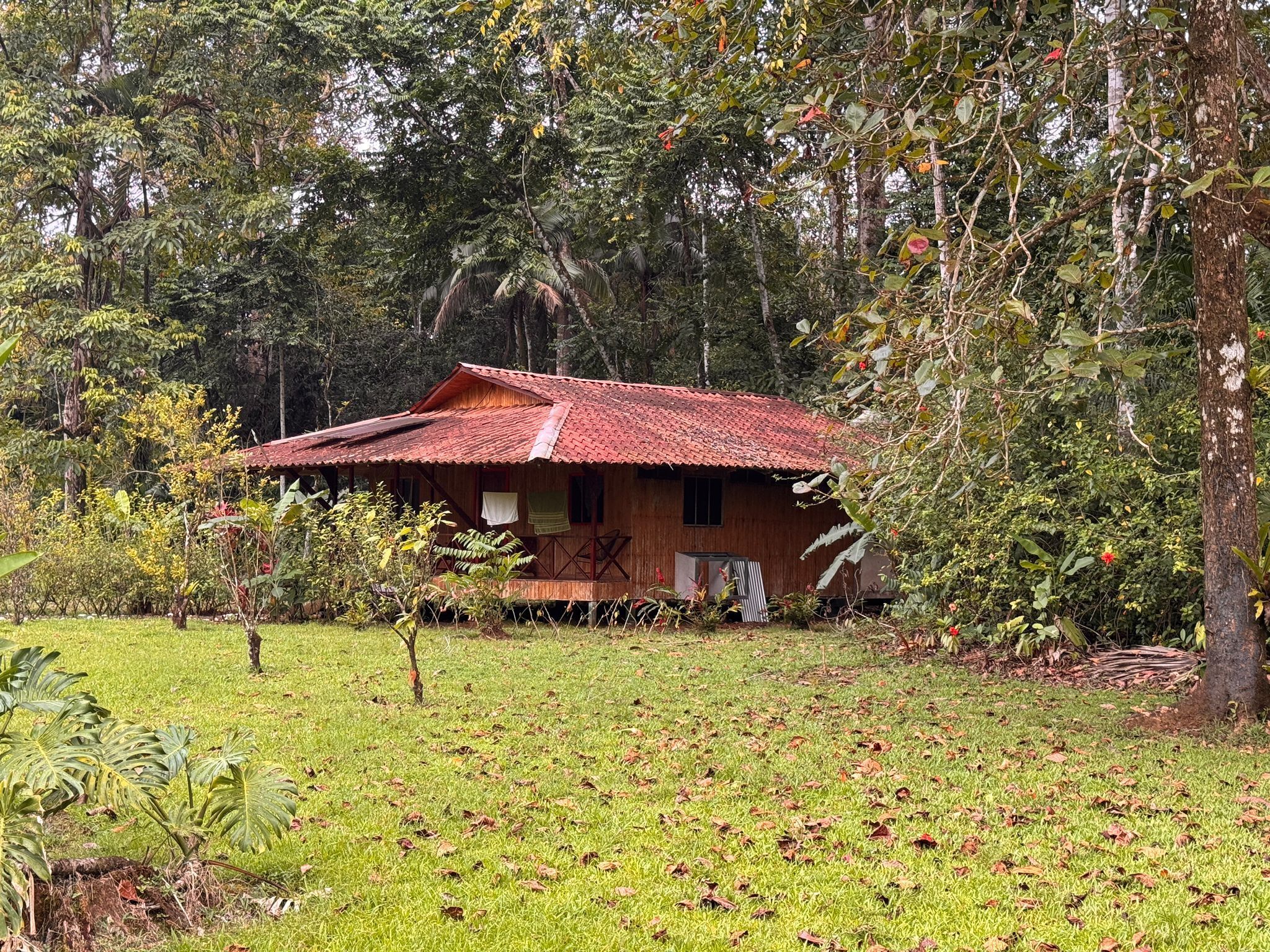 Una casa de madera rústica con techo rojo, rodeada de abundante vegetación y árboles.