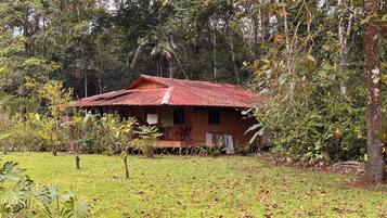 Una casa de madera rústica con techo rojo, rodeada de abundante vegetación y árboles.