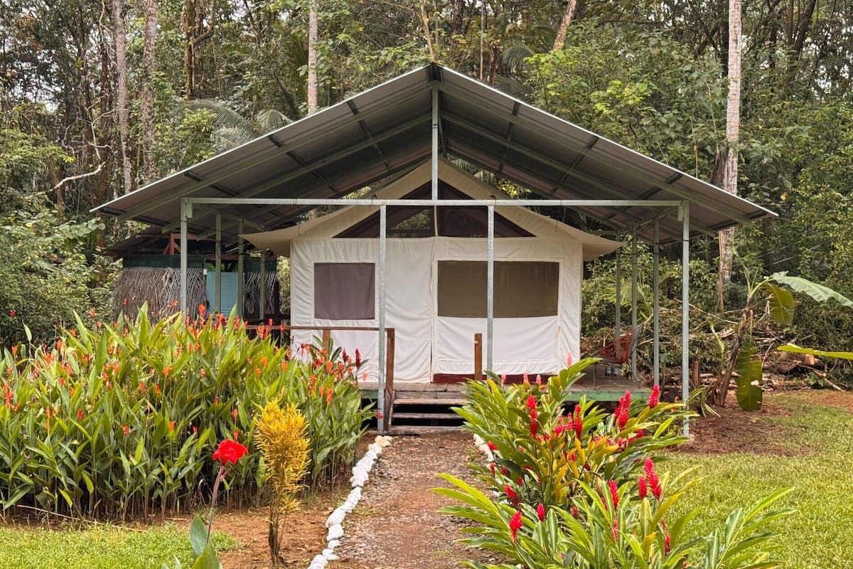 Classic Tent, Non Smoking, Garden View | Desk, free WiFi