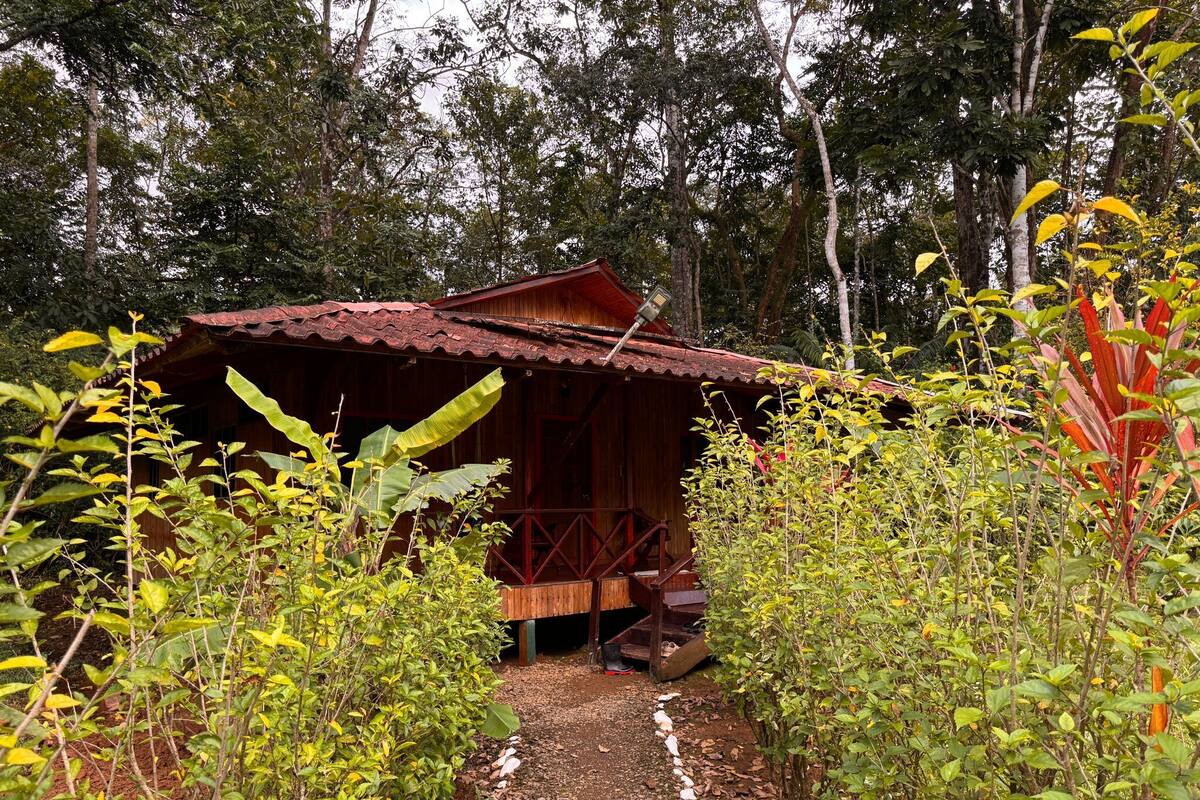 Family Chalet, Housekeeping, Park View | Desk, free WiFi