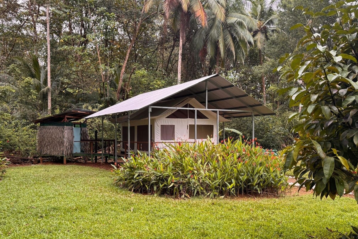 Classic Tent, Garden View | Desk, free WiFi