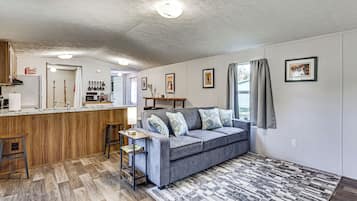 TV, video games, books