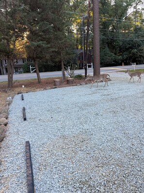 المنطقة المحيطة بالمنشأة