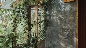 Une plante en pot, avec des lianes grimpant sur un mur de briques, une fenêtre et une enseigne indiquant « Pino ».