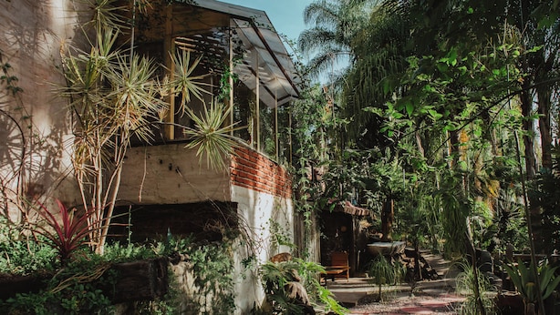 Un bâtiment rustique, doté d’un mur en briques et d’un toit en métal, entouré d’une végétation tropicale luxuriante.