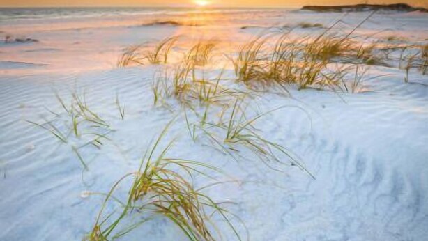 A beach with sand and grass, a sunset in the background, and a distant landmass. - Intracoastal house w/Boat Lift in Treasure Island (Treasure Island)