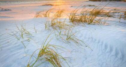 Intracoastal house w/Boat Lift in Treasure Island
