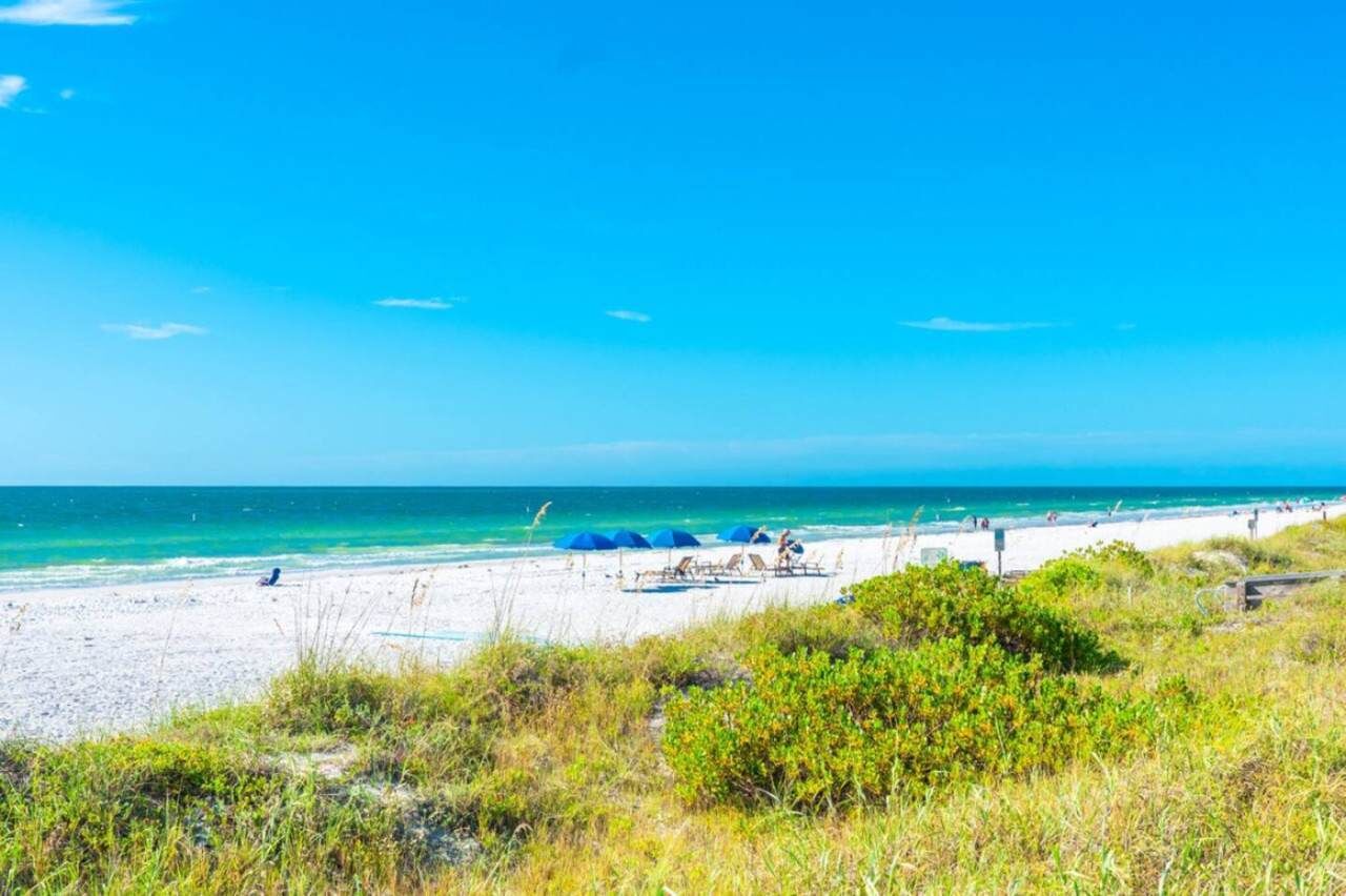Playa en los alrededores 