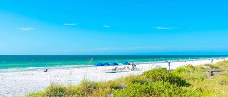 Playa en los alrededores