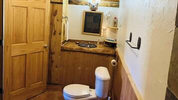 Jetted tub, hair dryer, towels