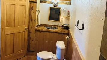 Jetted tub, hair dryer, towels