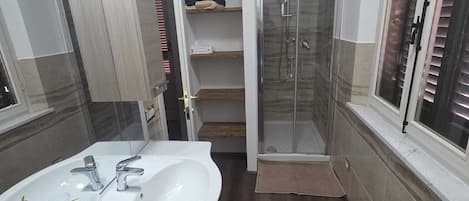 Shower, hair dryer, bidet, towels