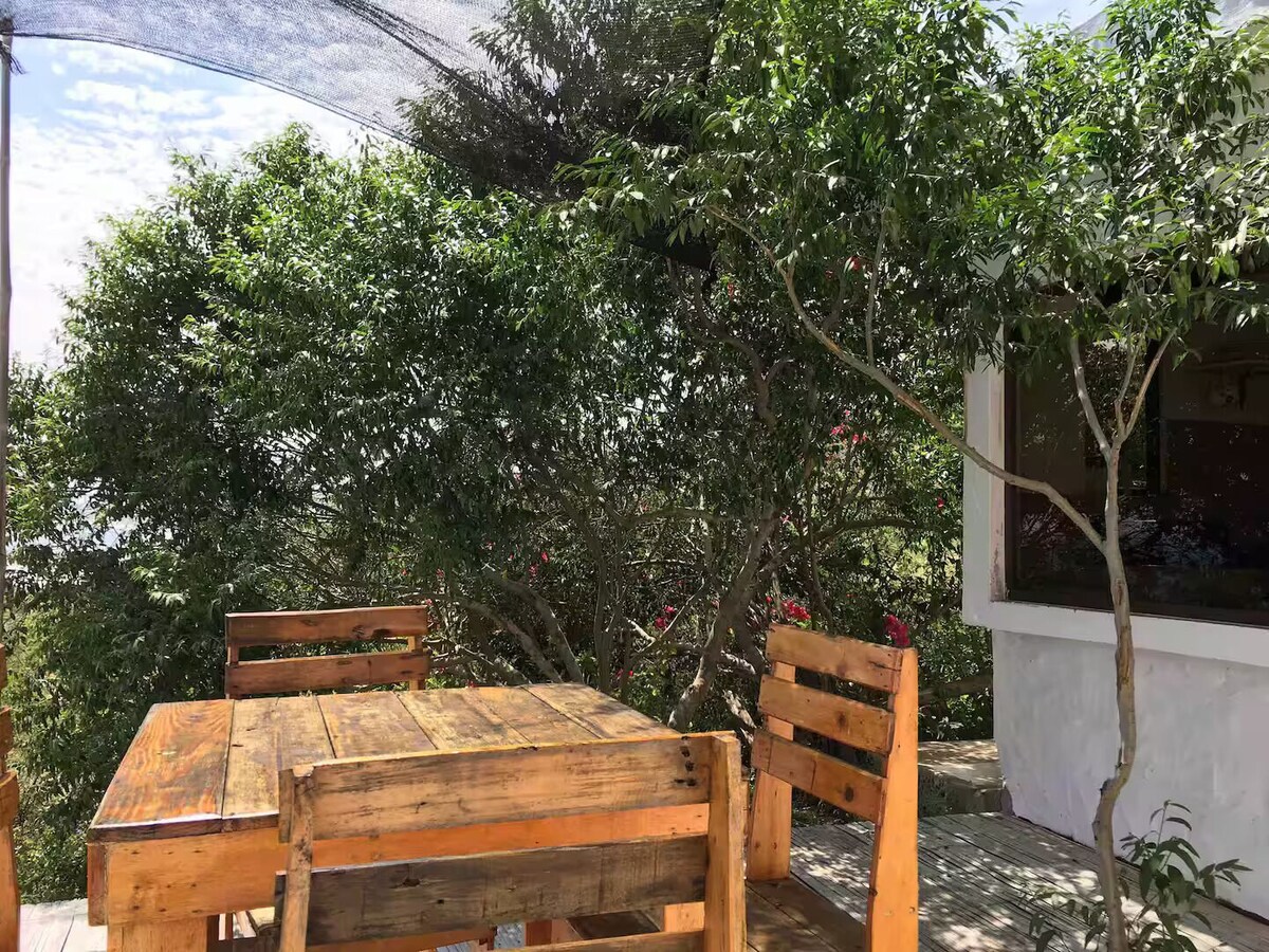 Bild für Gastgeberprofil