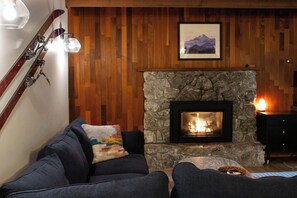 Smart TV, chimenea, reproductor de DVD y libros 