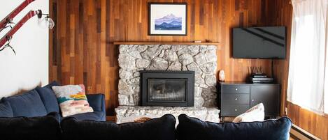 Smart TV, fireplace, DVD player, books