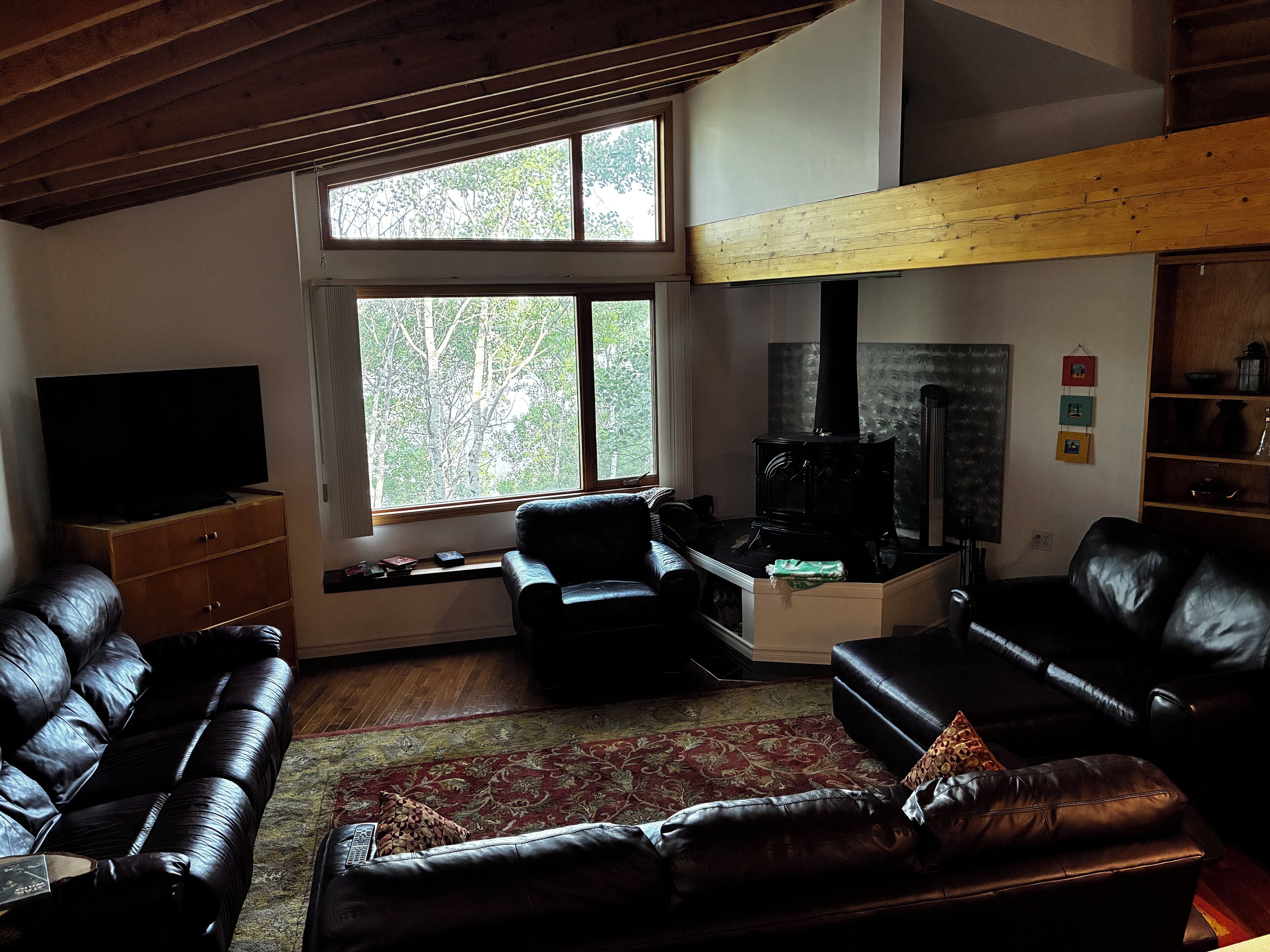Smart TV, DVD player, books, video library