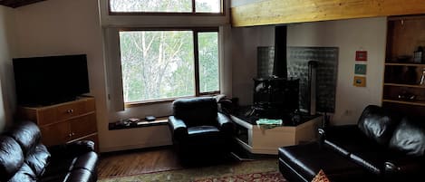 Smart TV, DVD player, books, video library
