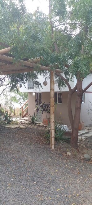 Exterior - Beautiful oceanfront suite with a sunset view! (Manta)