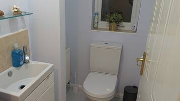 A compact bathroom with a toilet, a sink, a small window, and a radiator.